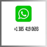 kf-Aea68b9f026934857bae7b0db5bce70522-Best-Offer-New-Storm-Bee-MX-and-Homologated-Version-Motorcycle