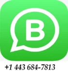 kf-Ae0308ac04e224a5e9598c6191ef225c2v-Hon-das-CBR150R-Sport-Motorcycle