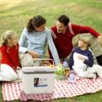 kf-S99f910de5ca94faabe46da53b0ba0cdeZ-6L-Camping-Cooler-Box-Heat-Preservation-Car-Refrigerator-Fishing-Cooler-Juice-Beer-Ice-Bucket-Outdoor-Camping