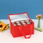 kf-S6e41414b1c3b4ca7bfd60d32cef8b875N-Portable-Drink-Beer-Insulation-Cooler-Bag-Outdoor-Picnic-Lunch-Bento-Thermal-Box-Camp-Cooler-Insulation-Bag