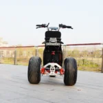 دراجة كهربائية ثلاثية العجلات مع دواسة للبالغين ، دراجة ثلاثية العجلات ، دراجة ثلاثية العجلات Citycoco ، دراجة نارية كهربائية ، دراجة ثلاثية العجلات للبالغين ، 60 ، 12A