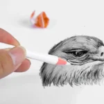 kf-Sef6f3a8430f64a8e81c1abffbc2e0c50b-