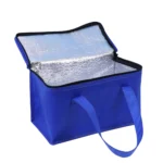 kf-S6e41414b1c3b4ca7bfd60d32cef8b875N-Portable-Drink-Beer-Insulation-Cooler-Bag-Outdoor-Picnic-Lunch-Bento-Thermal-Box-Camp-Cooler-Insulation-Bag