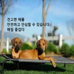 kf-S8c5924fcfafb41be9516dea931fac509M-Elevated-Bed-For-Large-Dogs-Folding-Pet-Camping-Bed-Cat-House-Portable-Removable-Washable-Four-Seasons