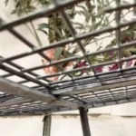 kf-S9c9fe39c49a243119eb090dec705e7286-Garden-Patio-Camping-Table-Coffee-Desk-Dining-Gaming-Accessories-Outdoor-Table-Restaurant-Kitchen-Mesa-Plegable-Furniture