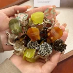 kf-S9c324e063b8e48fb880d15d488ca8b03W-2pcs-set-Mini-Acetate-Hair-Claw-Cute-Small-Size-Hair-Clamps-Grab-Elegant-Side-Pin-Hairpin