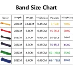 kf-S187ad5a3778a4d3881b735aedd370f41s-Resistance-Band-Heavy-Duty-Latex-Sports-Elastic-Belt-Pull-Up-Assist-Bands-For-Pilates-Workout-Out