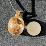 il_fullxfull6387263778_n5zgjpg