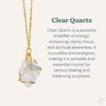 il_fullxfull5895595526_a6lrjpg