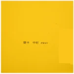 kf-H53b5e65d9ef9472388a59522f04a66d4i-Reactor-corbor-table-tennis-rubber-pimples-in-training-rubber-for-new-player-wholesale