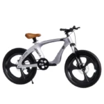 kf-Sca3da0ae048a471b942210e68bd19935l-FJ-Magnesium-Alloy-20-Inch-Children-s-Bicycle-Shock-Absorber-Integrated-Wheel-Dual-Disc-Brake-Single