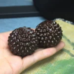 kf-S4ebb7f8d23ae4ab5967f60bea6a6106bq-2PCS-Agarwood-Durian-Massage-Handball-Fitness-Balls-Wrist-Finger-Exercise-Stress-Relief-Hand-Relaxation-Stretch-Muscle