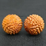 kf-S97a6b7072ea94dfe9d11b2403ecadf66Q-1PC-Thuja-Wooden-Hand-Massage-Ball-Durian-Fitness-Handball-Hand-Exercising-Yoga-Meditation-Therapy-Stress-Pressure