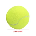 kf-S159d5095f139424383b7a2b4e0d2500eF-Training-Exercise-Tennis-Balls-for-Beginners-Tennis-Balls-Practice-Balls-Tennis-Balls-for-Kids-Adults-Tennis