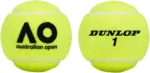 kf-Sd269790884284306ab3d15b1c0cc634eS-Sports-Australian-Open-AO-Extra-Duty-Tennis-Balls-Case-of-24-cans-72-Balls