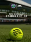 kf-S77e49c21daff4b2882f121bf7fe16f51k-Slazenger-Canned-Tennis-Cups-Competition-Tennis-Wimbledon-Professional-Balls-3-Pcs-Schlesinger-3-Pcs-tube