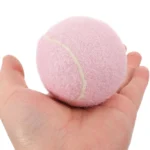 kf-Scc76aa0da70144ceb085f646b1627011j-2-Pcs-Tennis-Balls-Toys-Pet-Girl-Playing-Beginner-Practice-for-Player-Pink-Rubber-Starter