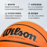 kf-S836d397972134ae3a55686d6d6c983ddy-Wilson-0965-original-imported-EVO-NXT-basketball-Japan-microfiber-leather-indoor-game-No-7-basketball