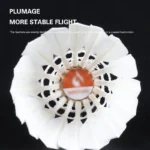 kf-See3522a1c6a44f6195f227e96cef5ac6j-12Pcs-Professional-Badminton-Balls-white-Goose-Feather-Shuttlecock-Stable-Training-Sport-Badminton-Ball-Sport-Accessories