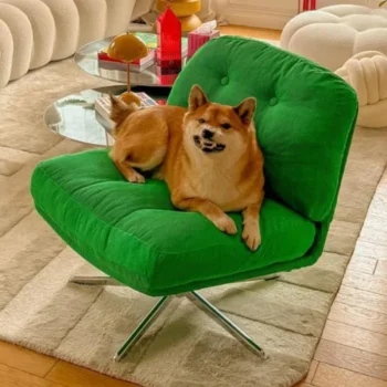 Simple Casual Medieval Single Chair Sofa Chair Revolving Living Room Balcony Small Apartment Leisure Chair