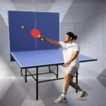 Professional Indoor Table Tennis Table, with Quick Clamp Ping Pong Net (Straight Legs)with 2 Rackets and 3 Balls Ping Pong Table