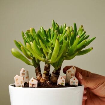 Miniature Ceramic House | Handmade Miniatures  | 6 Style Tiny Ceramic House | DIY Terrarium Decor | Miniature Ceramic Buildings