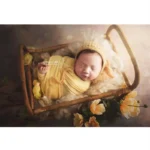 kf-Hc46dff344e034417be165f6ff71244cbh-Newborn-Photography-Basket-Handmade-Idyllic-Retro-Small-Rattan-Bed-Baby-Photography-Props-Furniture-for-Photo-Shoot