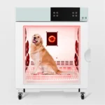 Smart pet drying box UV ozone sterilization dog cat dryer pet shop beauty supplies