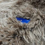 kf-Sbc3309b43d6b4f0386d75cfdffd3eebeJ-150x90cm-Flokati-Newborn-Photography-Big-Size-Thick-Long-Greek-Wool-Blanket-Background-Baby-Photo-Props-Fotografia