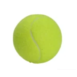 kf-S0af62dc1eb7e4ed79fcba93eec44d34d3-1PC-High-Elasticity-Tennis-Professional-Tennis-Training-Game-Ball-Outdoor-Dogs-Bite-Chase-and-Chomp-64mm