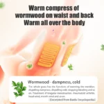 kf-S8c9e647971b64db48786c3620e70c113z-JR-Full-Body-Professional-3D-Home-Zero-Gravity-Intelligent-Electric-Automatic-Luxury-Heating-Shiatsu-Massage-Chair